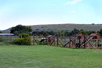Dog Camps