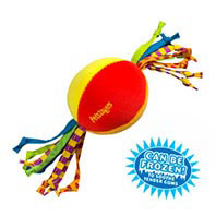 Puppy Cool Teether